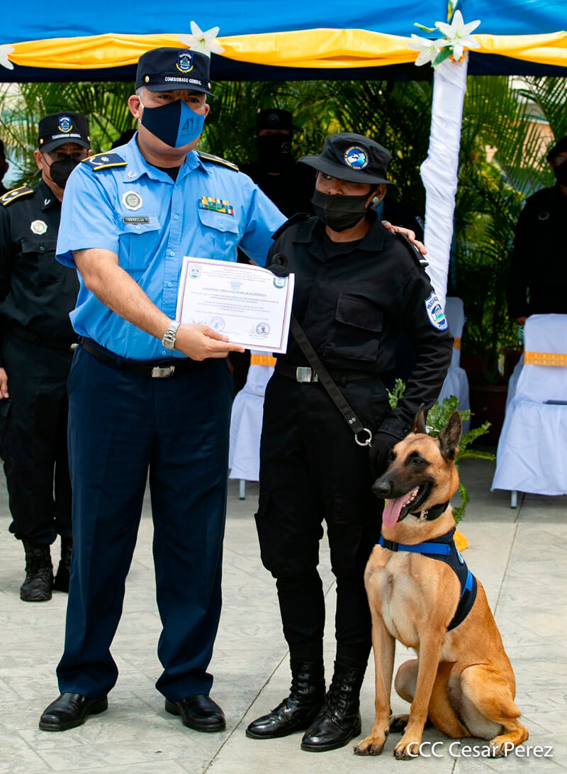 doep-tecnica-canina-curso